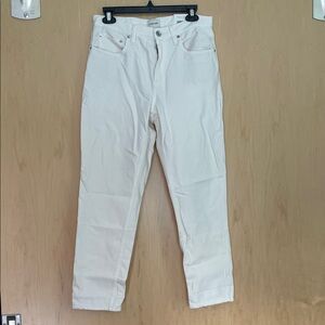 Everlane Runaround Jean